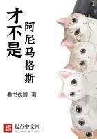 霍格沃兹德鲁伊 霍格沃兹德鲁伊