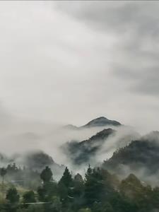 神秘复苏:位面世界 神秘复苏:位面世界